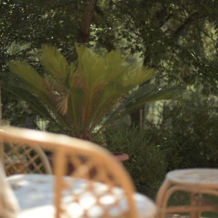 B&B dei Fiori Praia a Mare Exterior foto