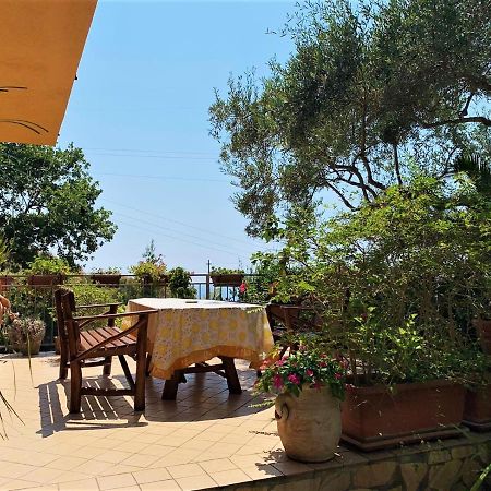 B&B dei Fiori Praia a Mare Exterior foto