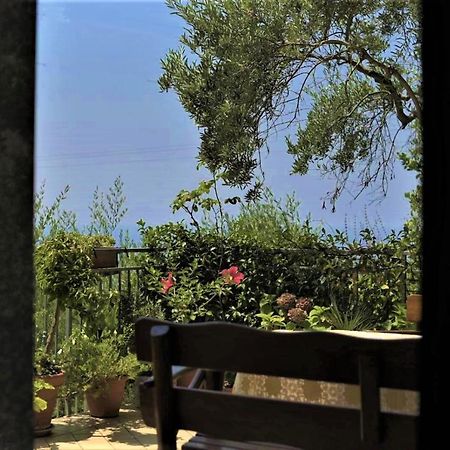B&B dei Fiori Praia a Mare Exterior foto