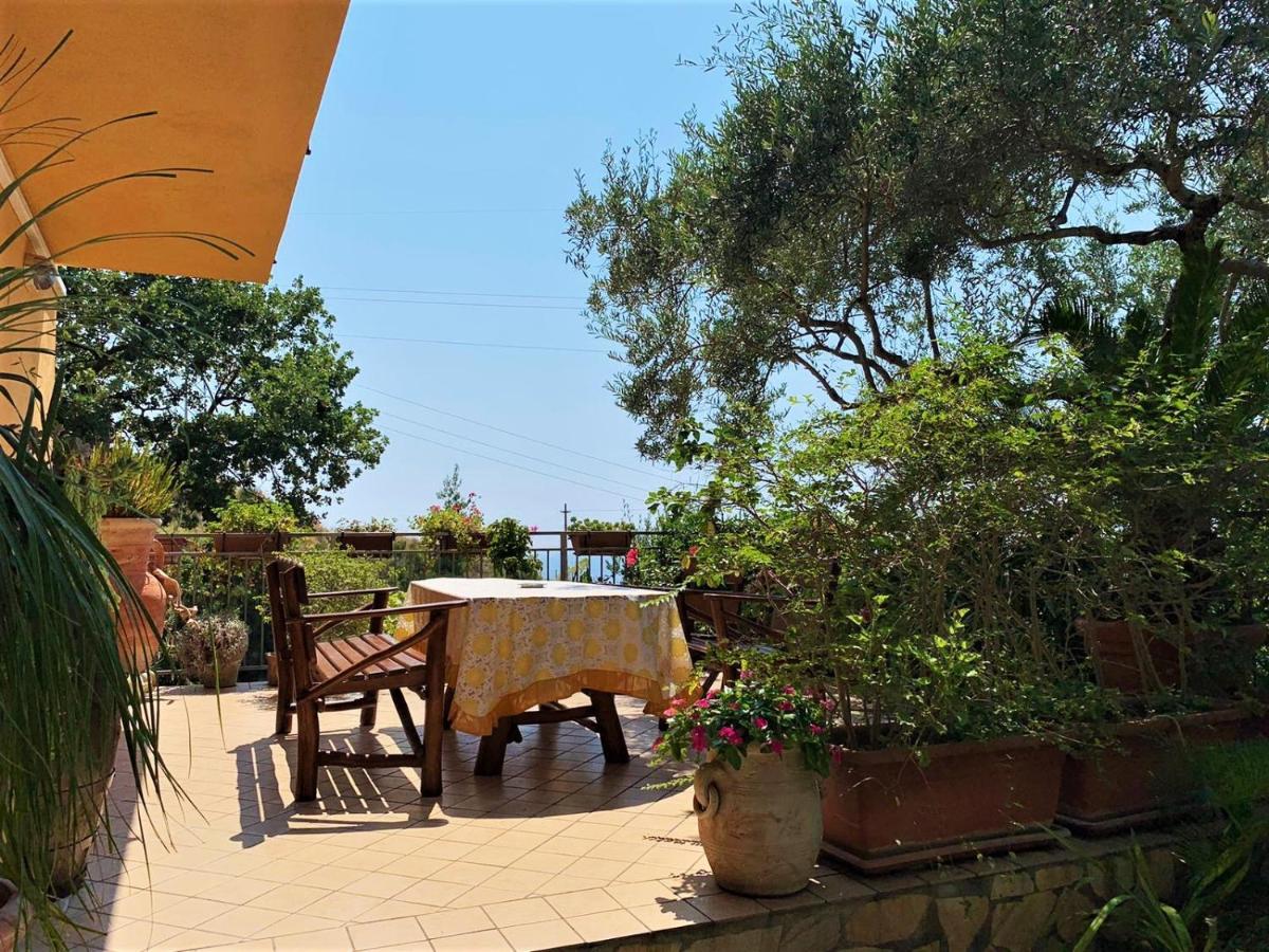 B&B dei Fiori Praia a Mare Exterior foto