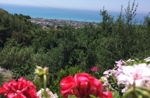 B&B dei Fiori Praia a Mare Exterior foto