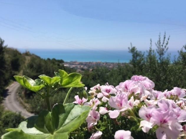 B&B dei Fiori Praia a Mare Exterior foto