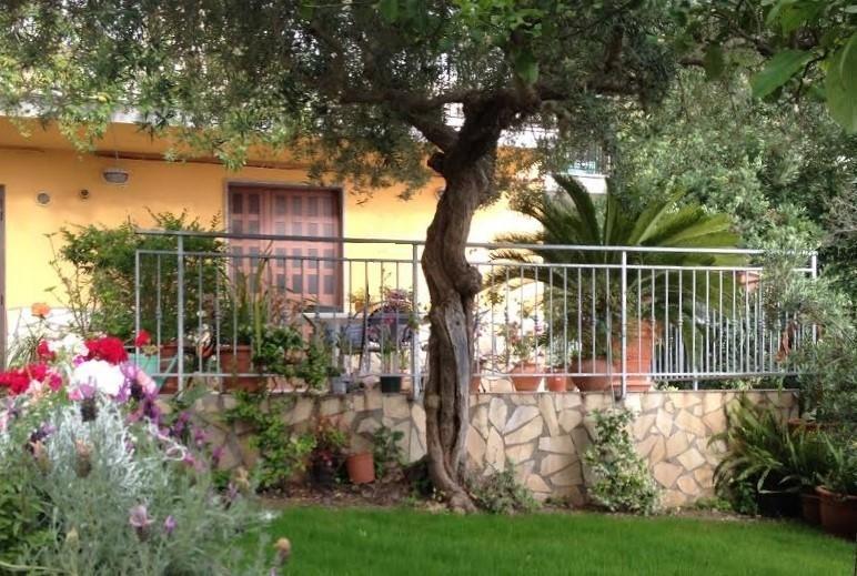 B&B dei Fiori Praia a Mare Exterior foto